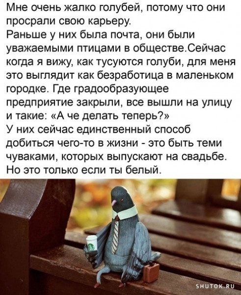 Всяческие картинки 18.06.2021