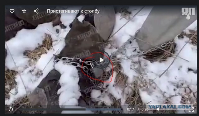 На позициях украинских войск продолжают находить пристёгнутых цепями к столбами боевиков
