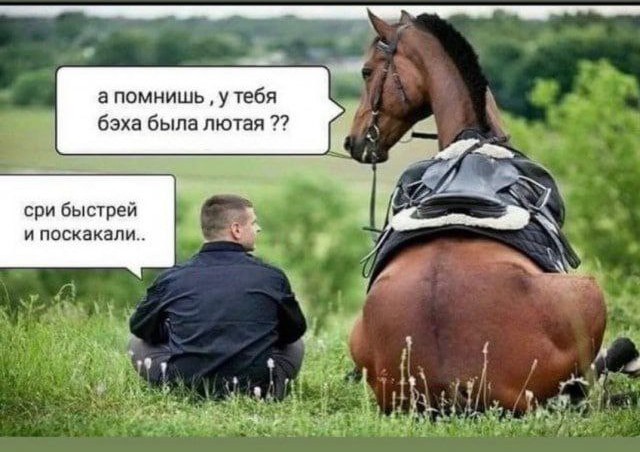 Про красивую и экономичную машину