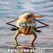 Anonymous слили базу Центробанка РФ