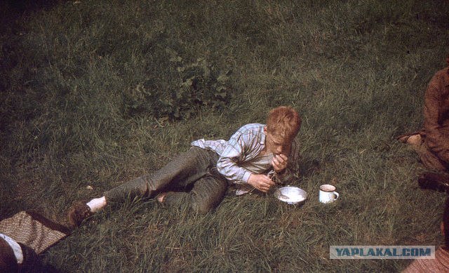 П/л Бауманец. Пересменок