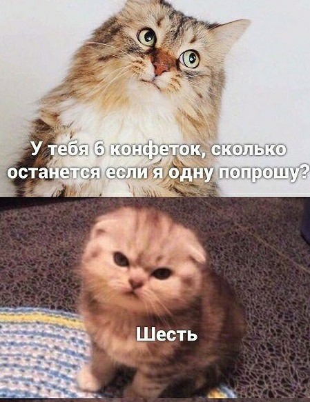 Картинки и мемы для настроения - 19