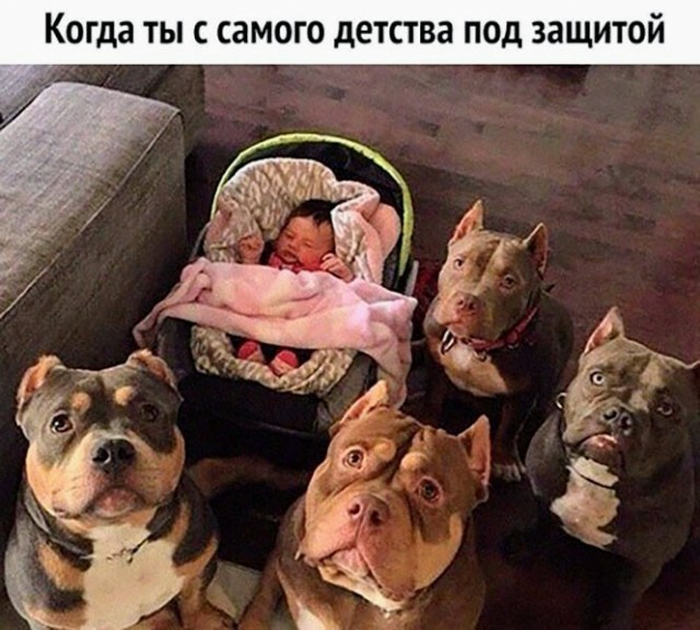 Картинки и мемы. Выходные близко, близко...
