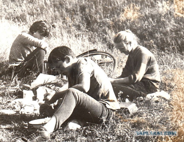 1986 год