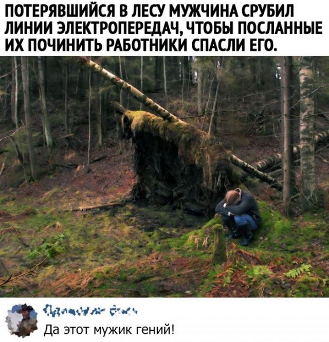 Скриншоты и комментарии из социальных сетей 24.09.22
