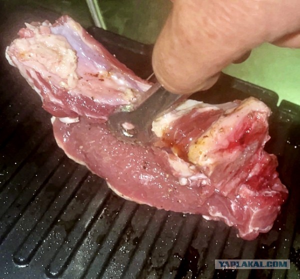 Электрогриль. Мясо. Купаты, и … вообще.  Предлагаю устроить обмен опытом и технологиями.
