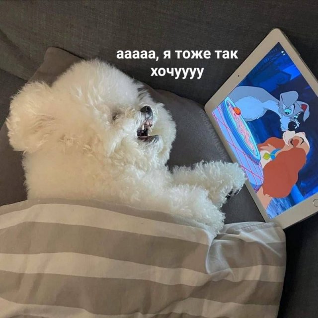 Картинки и мемы. Выходные близко...