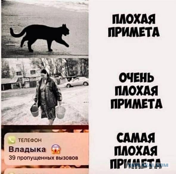 Победная поступь идиотизма по планете – том 2