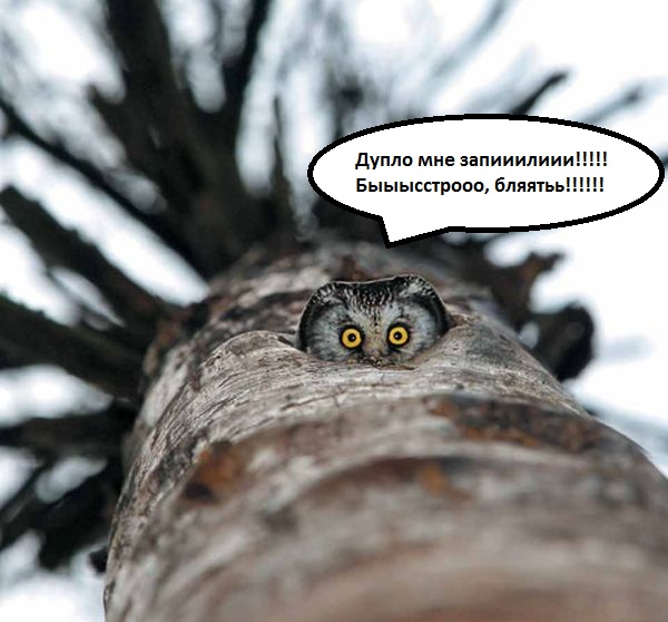 Вы кто такие?! Я вас не звал...