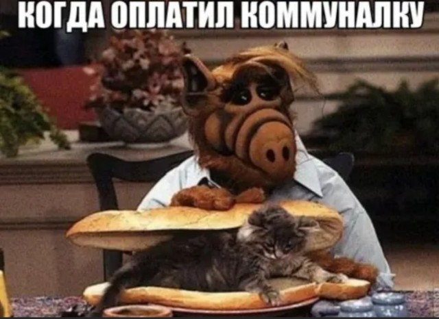 Весёлый полтишок 11.01.23