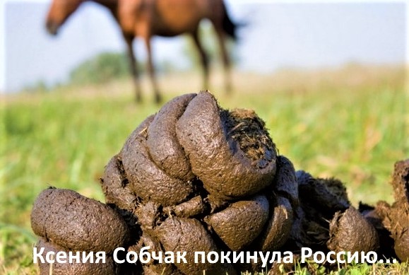 Чернила-4
