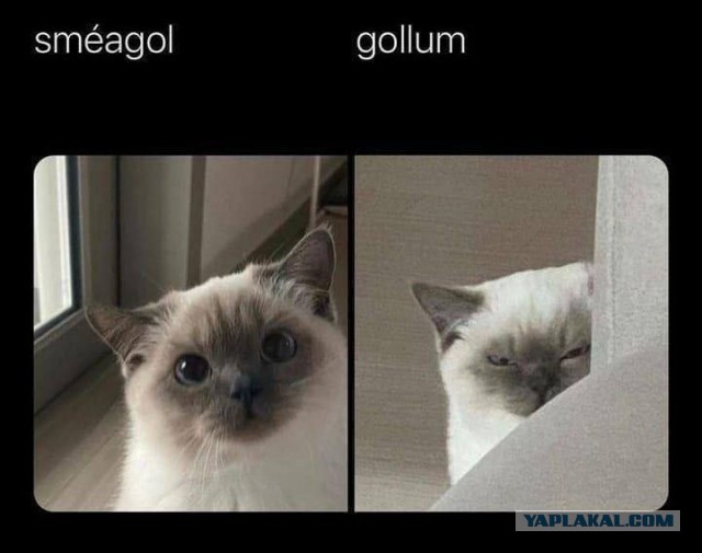Народная меДИЧина 3013