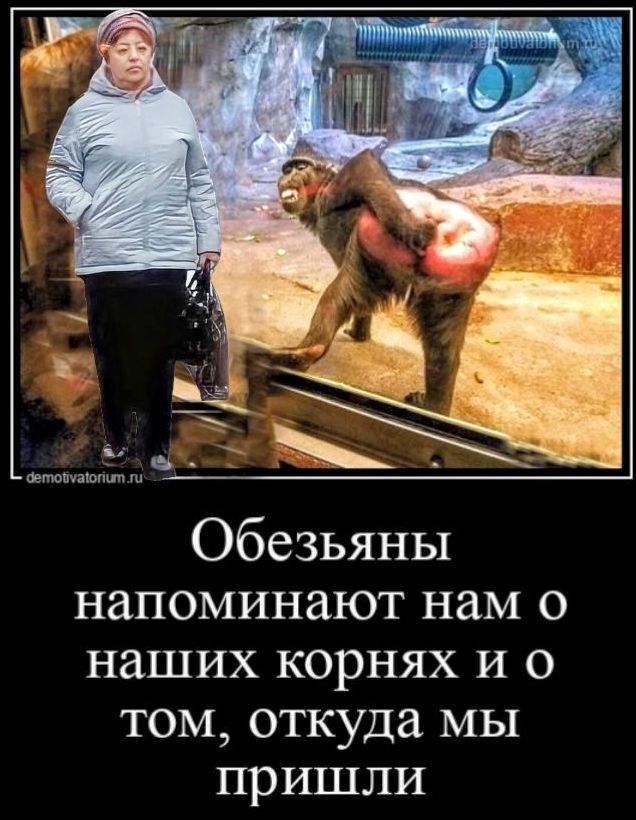 Фотожаба: Уровень невозмутимости по-севастопольски