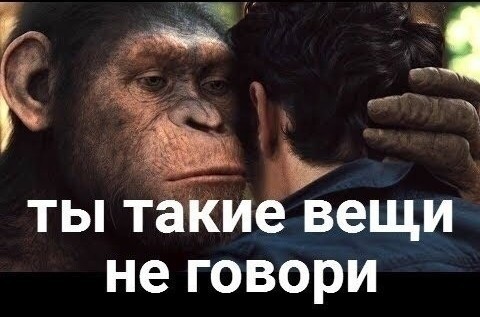Никита пояснил за негров