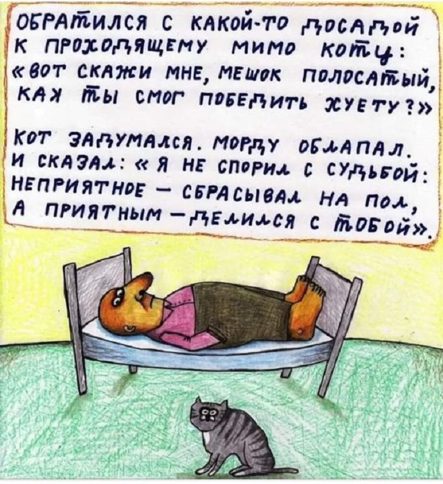 Картинки разные с надписями и без