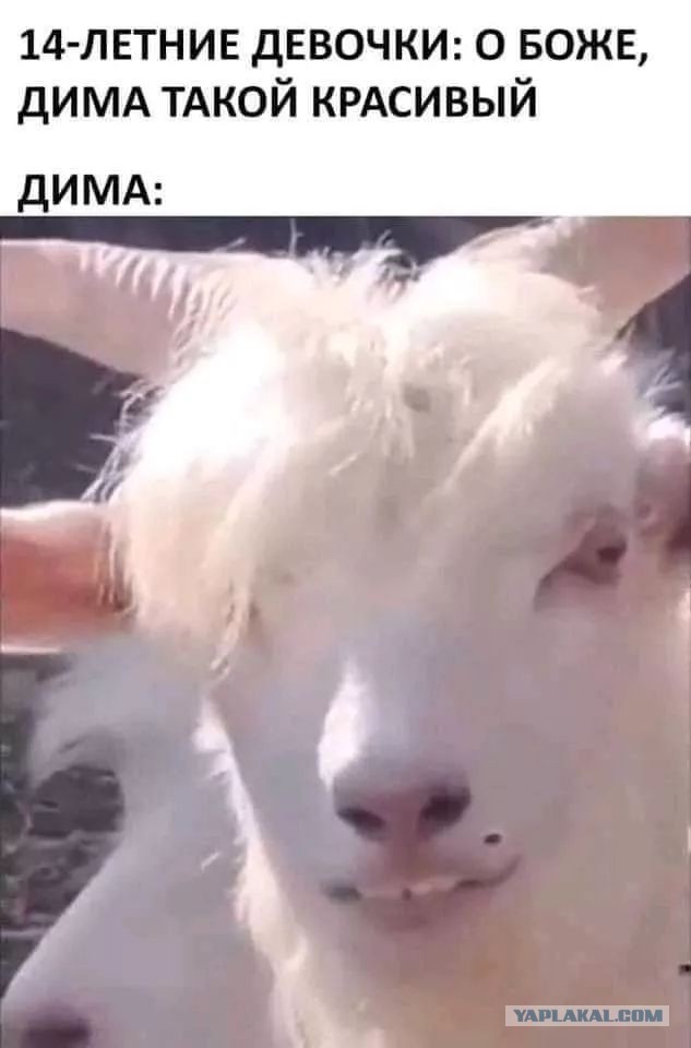 Карась