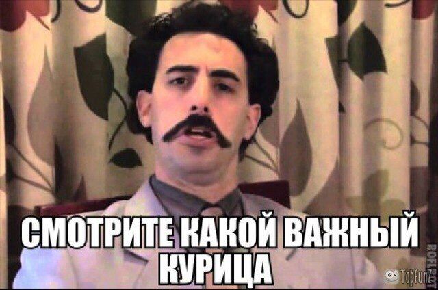 Депутат Гурулев : «Девяносто процентов, что одна зараза прилетит сюда»