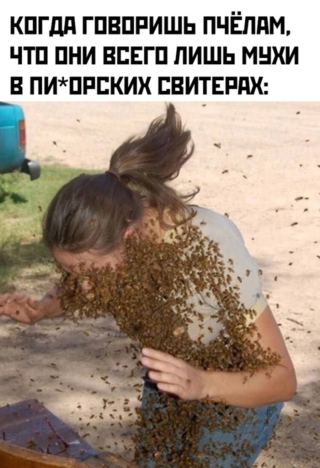 Весёлый полтишок 01.11.24