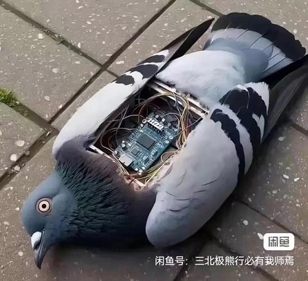 Это потому что я чёрный?