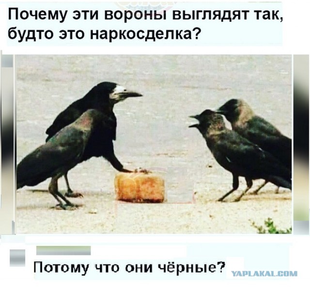 Картинки разные с надписями и без