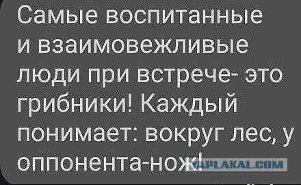 Кого 60-летний охотник больше всего боится в лесу