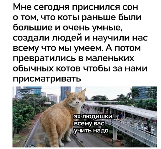 Моя любимая теория заговора