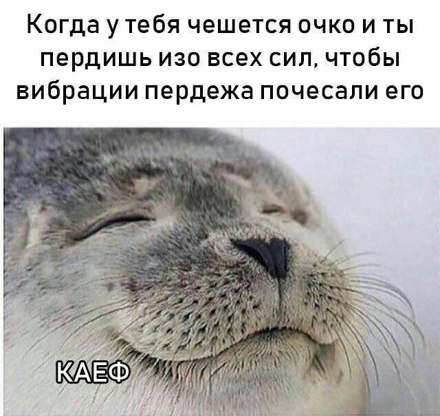 Своеобразный юмор картинок