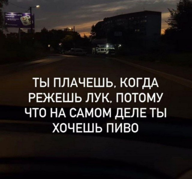Пивная Пятничная подборка
