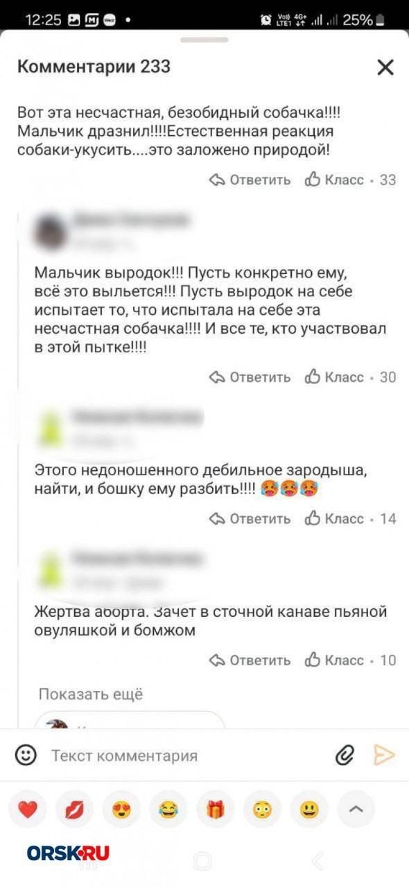 Под Орском огромный бродячий алабай попытался отгрызть голову школьнику