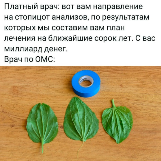 Картинки для деградации 39 (разной степени свежести)