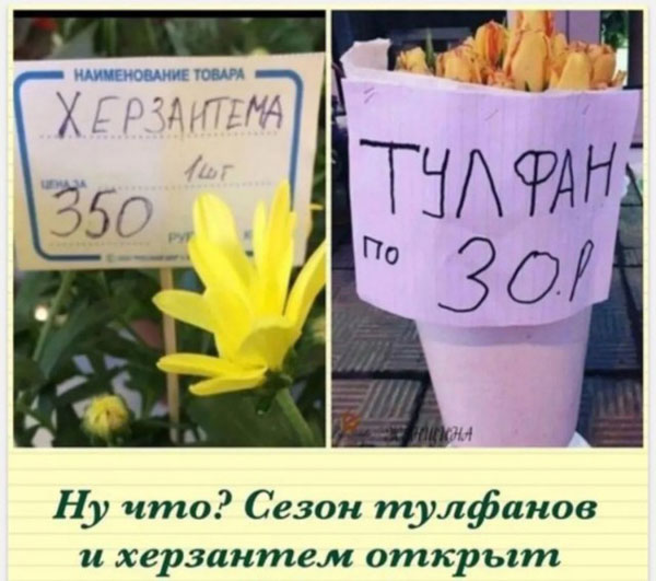 Утром в газете, вечером в баяне