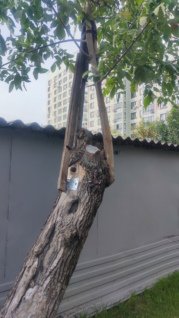 Я всё могу, я всё умею