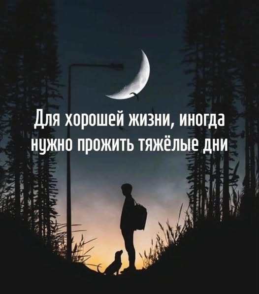 Рокк ебол и всё такое