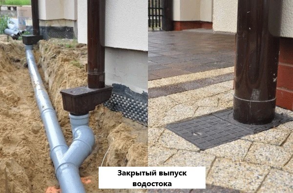 Иностранный специалист