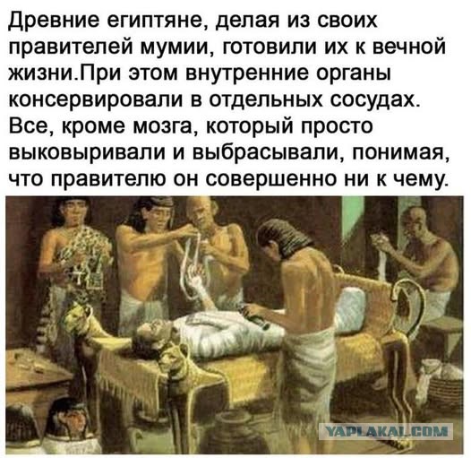 Веселое настроение в картинках (12.12.2025)