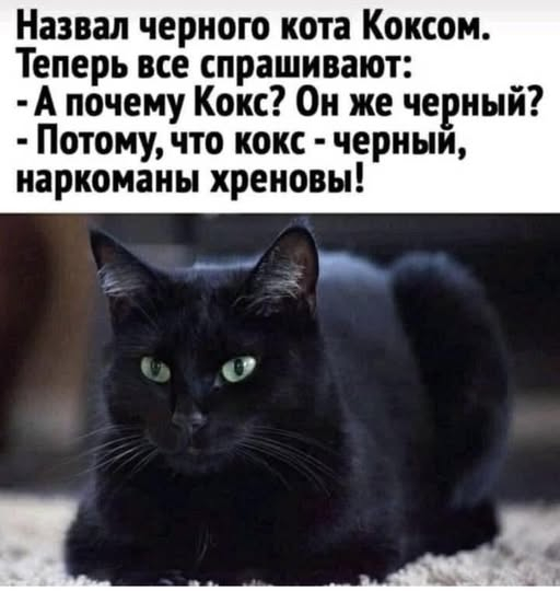 Картинки для деградации 139 (разной степени свежести)