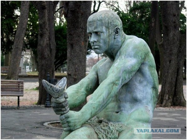 5 фактов об анаконде, которые ломают ваши шаблоны об этой змее