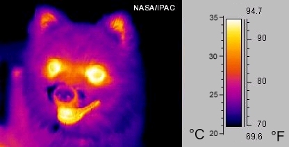 Что такое инфракрасная фотография.
