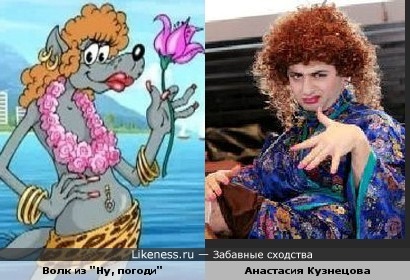 Забавные сходства