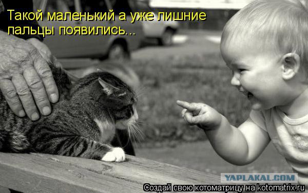 Безграничное терпение животных к детям