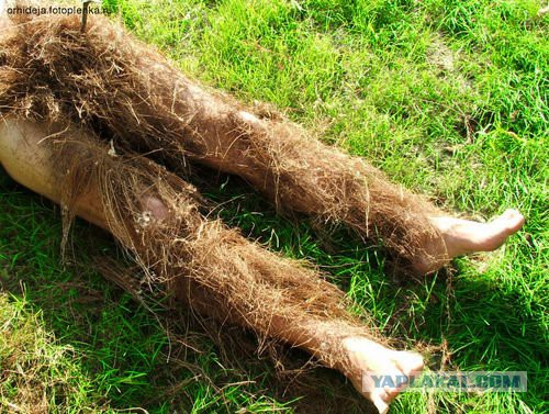 Брачное агентство «ГАРАЖ»