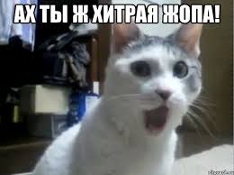 Радиатор vs замужество