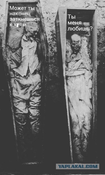 Веселые картинки