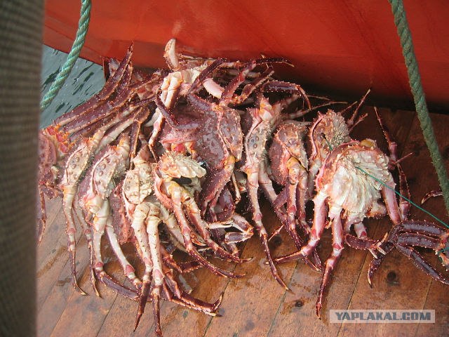 Немного Северной лирики