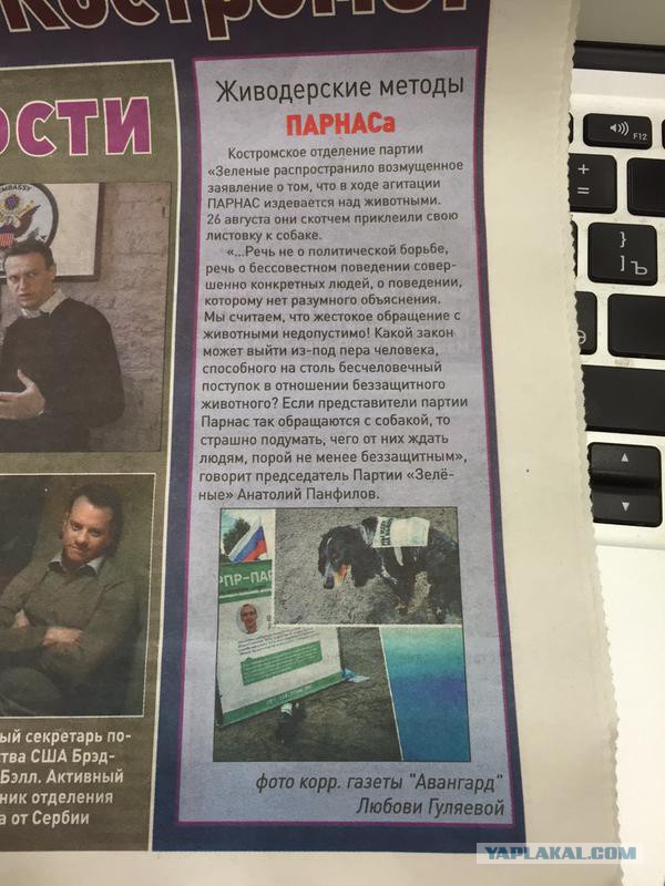 Как создать скандал на ровном месте