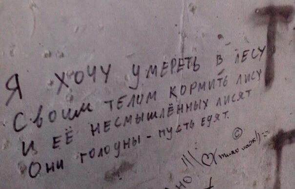 Ужасы и приколы из соцсетей 18+