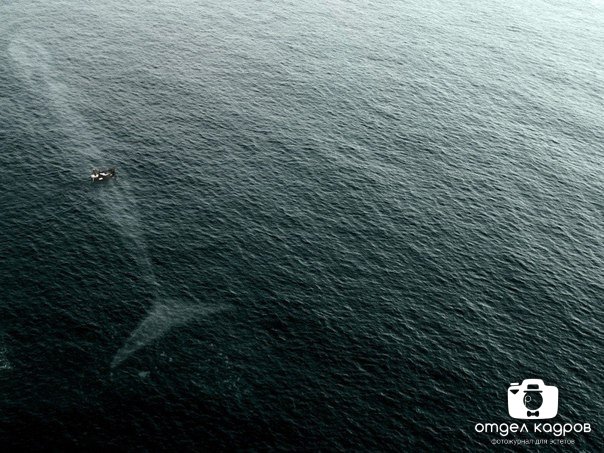 Картинки и прочее