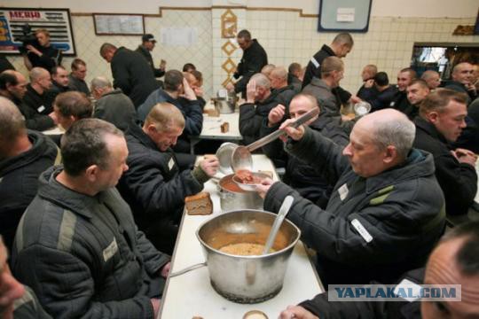 Наступили холода! Не у всех есть еда, тёплое место