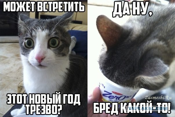 Трезвый новый год