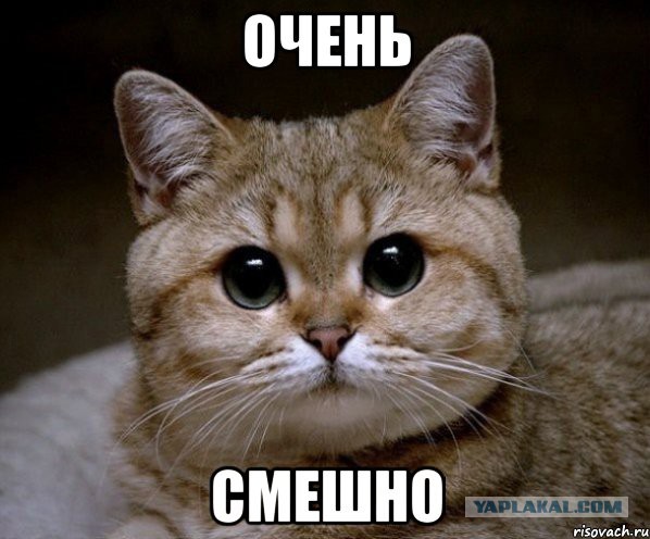 Жена прислала фото